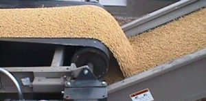 Bean Conveyors