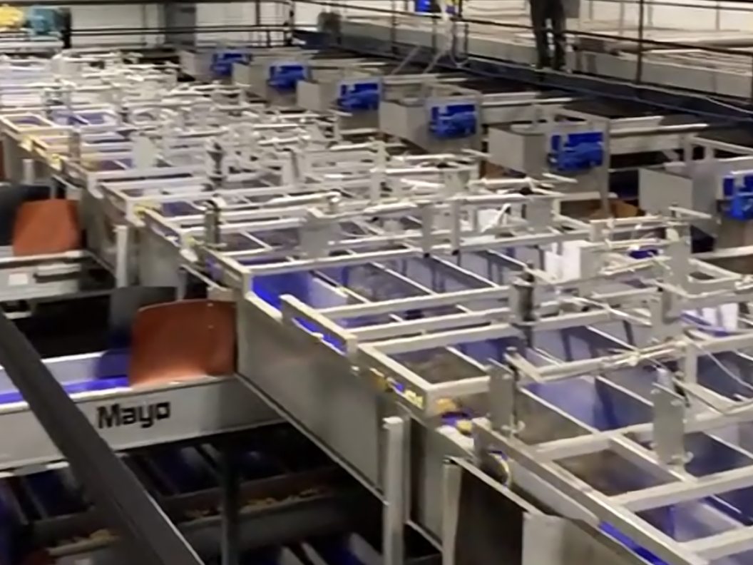 Distribution Conveyor